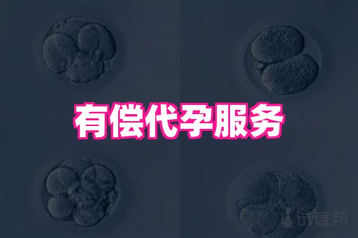 梦美助孕网 4